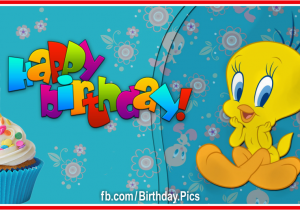 Tweety Birthday Card Her Tweety Birthday Cake Happy Birthday to You Happy