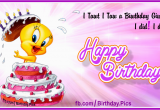 Tweety Birthday Card Her Tweety Birthday Cake Happy Birthday to You Happy