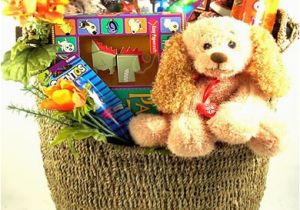 Unique Birthday Gifts that Can Be Delivered Gift Basket Ideas Kids Gift Basket Children