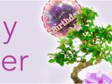Unusual Birthday Gifts for Her Uk Pretty Unusual Bonsai Birthday Tree Gifts for Her