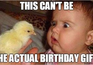 Upcoming Birthday Meme top 100 Birthday Wishes for Your Friends the Best Messages