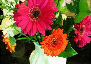 Virtual Birthday Flowers Happy Birthday Maryann Quot Virtual Flowers Quot for Maryann 39 S