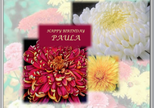 Virtual Birthday Flowers November 2011 Finding Gems and Sharing them