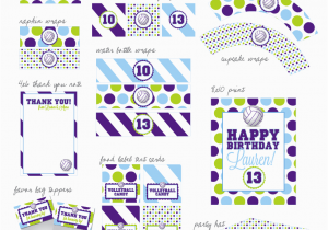 Volleyball Birthday Decorations Nellie Design Volleyball Printable Party