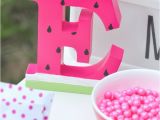 Watermelon Birthday Party Decorations Kara 39 S Party Ideas Summer Watermelon Diy Birthday Party