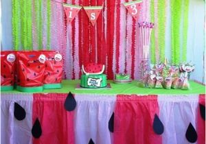 Watermelon Birthday Party Decorations Watermelon Birthday Party Ideas for Your Little Girl 39 S