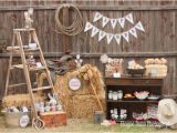 Western Decorations for Birthday Party Boy Parties Cowboy Western Kids Parties
