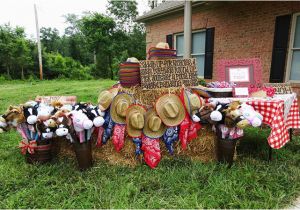 Western Decorations for Birthday Party Country Western Party Nicholas is 4 and Ava is 2 Chickabug