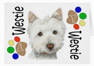 Westie Birthday Cards Cute Westie Dog and Paws Art Gifts Greeting Card Zazzle