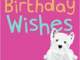 Westie Birthday Cards Dogs Trust Waggy Tails Card Westie On Pink Buy Online