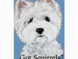 Westie Birthday Cards Greeting Cards West Highland White Terrier Greeting Cards