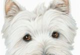 Westie Birthday Cards Quot Westie Dog Birthday Card Quot by Ckeenart Redbubble