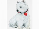 Westie Birthday Cards Westie Love Greeting Card Zazzle