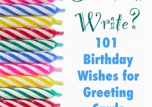 What Can I Write In A Birthday Card What Should I Write 101 Birthday Wishes for Greeting