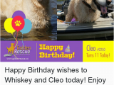 Whiskey Birthday Meme 25 Best Memes About Happy Birthday Wishes Happy