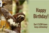 Wildlife Birthday Cards Birthday Ecards From Wwf Free Birthday Ecards World