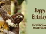 Wildlife Birthday Cards Birthday Ecards From Wwf Free Birthday Ecards World