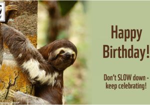 Wildlife Birthday Cards Birthday Ecards From Wwf Free Birthday Ecards World