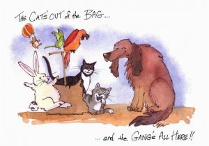 Wildlife Birthday Cards Funny Pets Card Animals Birthday Card Dog Cat by