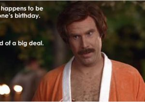 Will Ferrell Birthday Card Ron Burgundy Happy Birthday Saying Pictures to Pin On