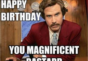 Will Ferrell Happy Birthday Quotes the 25 Best Ron Burgundy Quotes Ideas On Pinterest