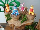 Winnie the Pooh 1st Birthday Party Decorations Kara 39 S Party Ideas Rustic Winnie the Pooh 1st Birthday