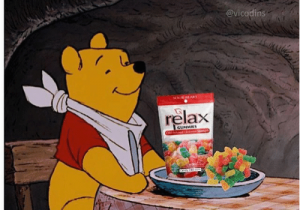 Winnie the Pooh Happy Birthday Meme Search Bears Memes On Me Me