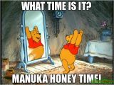 Winnie the Pooh Happy Birthday Meme What Time is It Manuka Honey Time Meme Winnie 80051