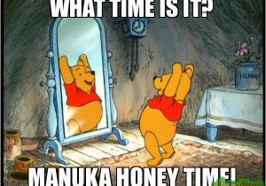Winnie the Pooh Happy Birthday Meme What Time is It Manuka Honey Time Meme Winnie 80051