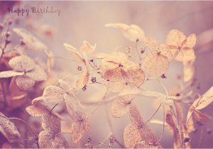 Winter Birthday Flowers Vintage Winter Flowers Happy Birthday Photograph by Lee