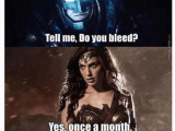 Wonder Woman Birthday Meme 25 Best Memes About Tell Me Do You Bleed Tell Me Do You