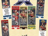 Wrestling Birthday Party Invitations Wwe Wrestling Birthday Invitations 10 Ea W Envelopes