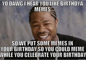 Xzibit Birthday Meme Yo Birthday Dog Quickmeme