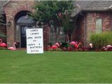 Yard Decorations for 40th Birthday Flamingos Smiles for All Occasions