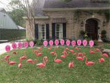 Yard Decorations for Birthdays Tax Day Sale Flamingos 2 Go