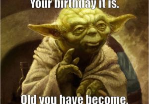 Yoda Happy Birthday Quotes Pinterest the World S Catalog Of Ideas