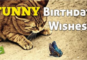 Youtube Funny Birthday Cards Funny Birthday Wishes Youtube